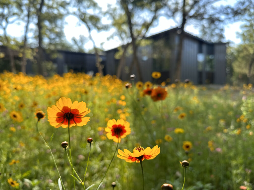 Fire resistant home with resilient design in pocket prairie